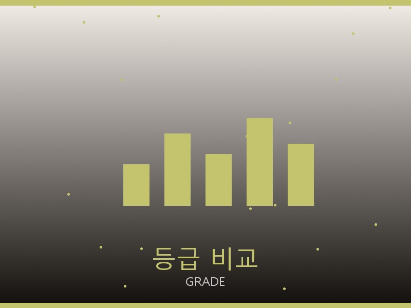 디스커버리 레플리카 사이트 등급 기준 비교